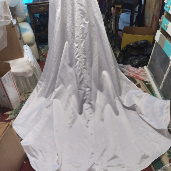 Wedding Dress - Picture 5 of 8